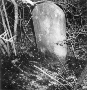 Tombstone of Harrit White
